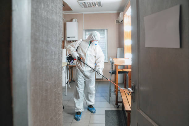 Best Water Damage & Mold Remediation  in Harkers Island, NC
