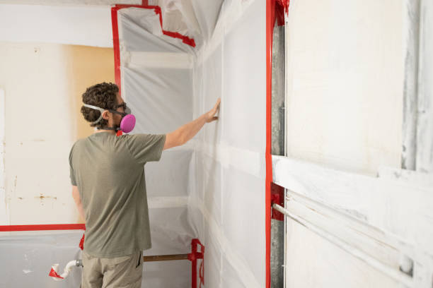  Harkers Island, NC Mold Removal Pros